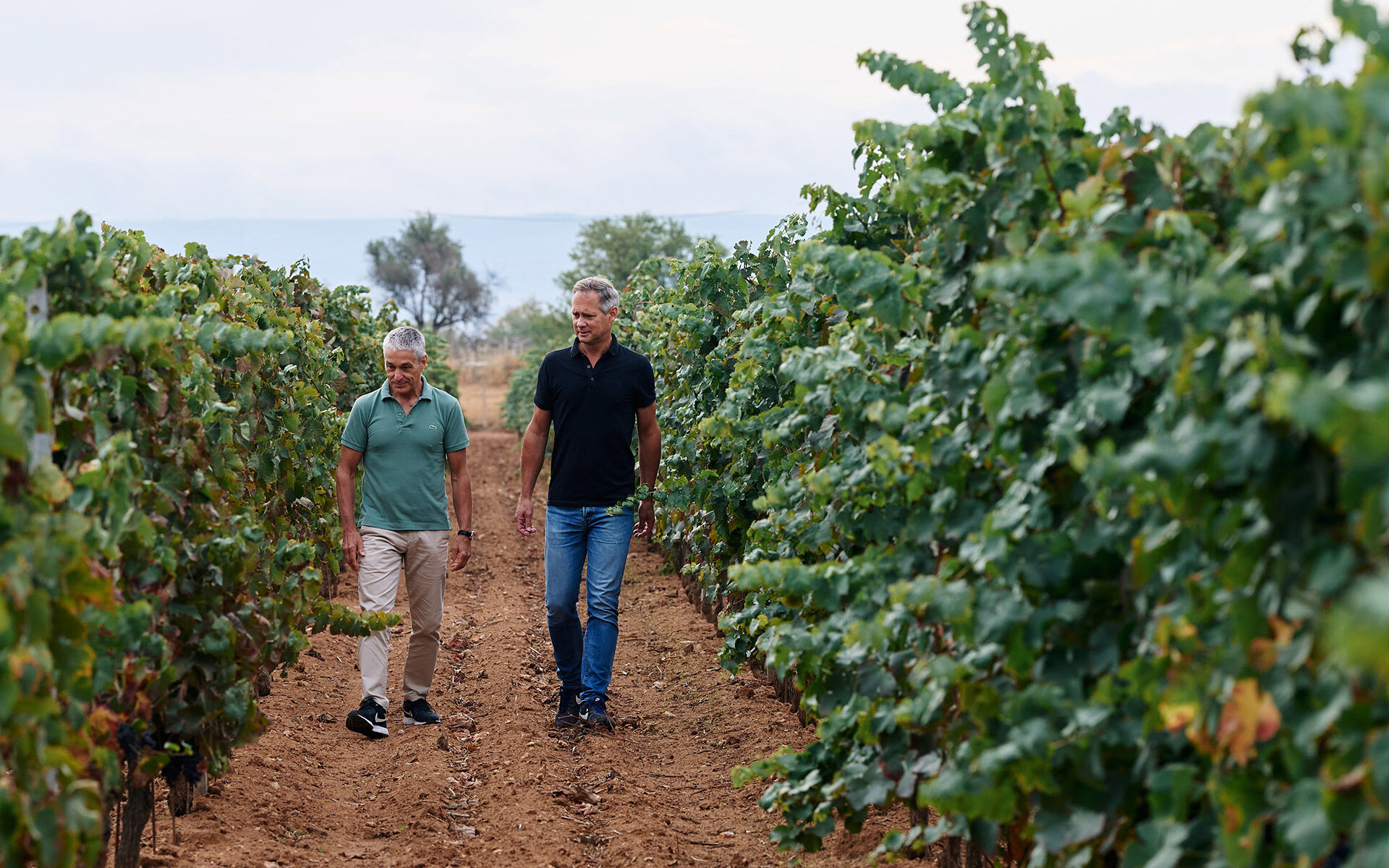 The Wine People  Sito web