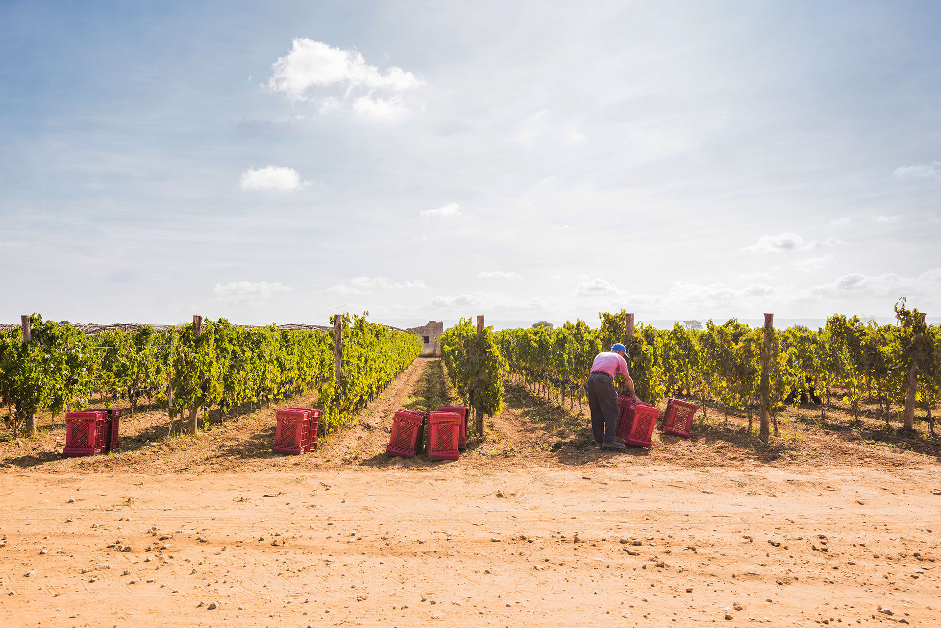 The Wine People  Sito web