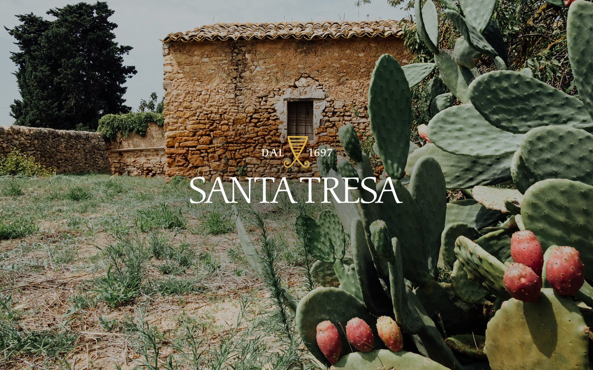 Santa Tresa  Brand Identity