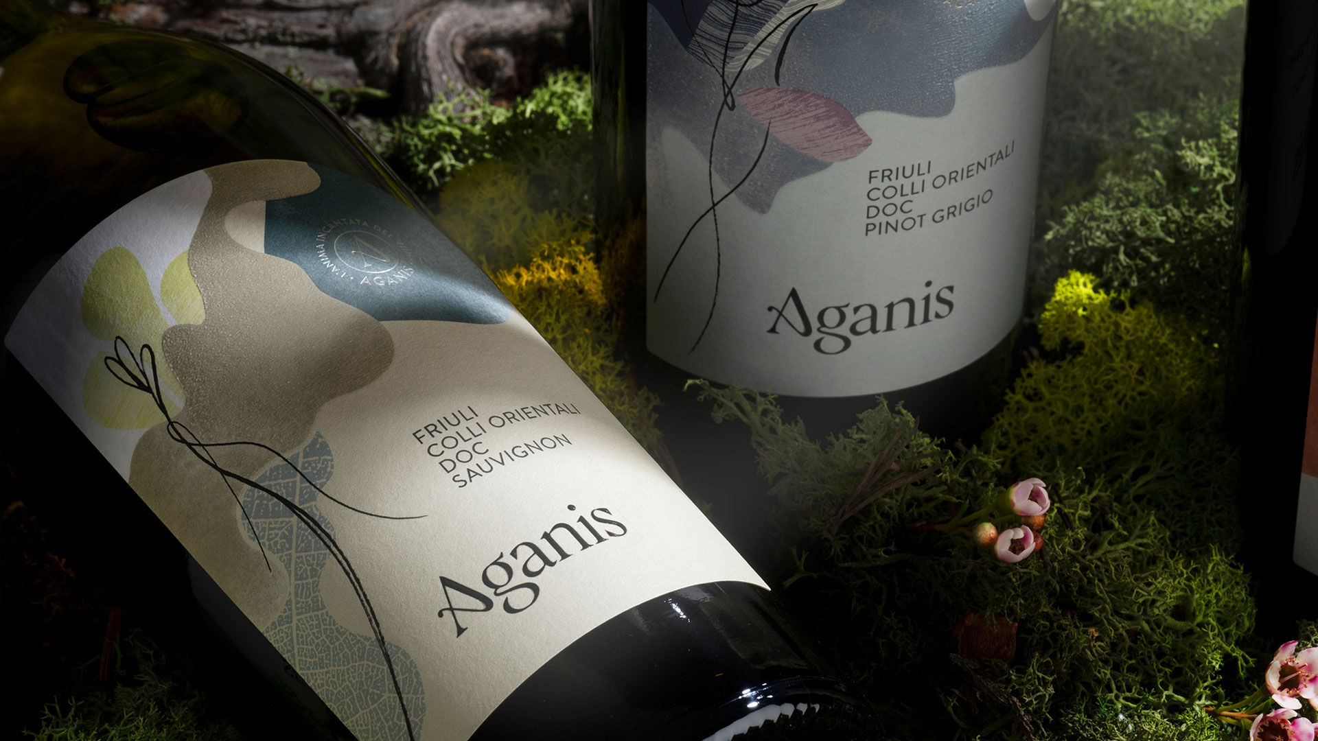 Aganis  Brand Identity & Label Design - 4